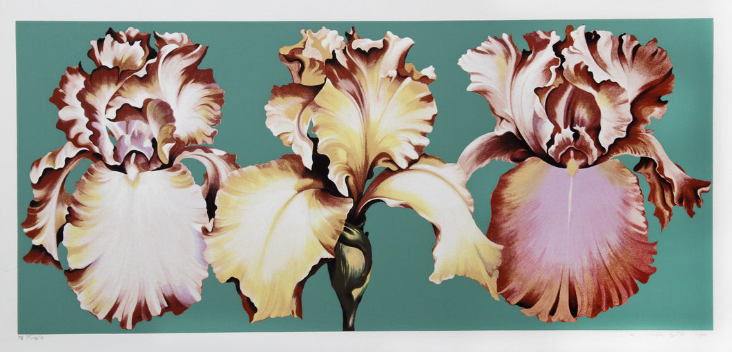 Three Irises on Green Screenprint | Lowell Blair Nesbitt,{{product.type}}