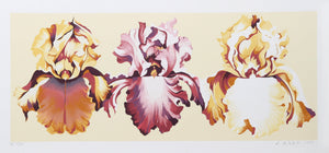 Three Irises on Yellow Screenprint | Lowell Blair Nesbitt,{{product.type}}