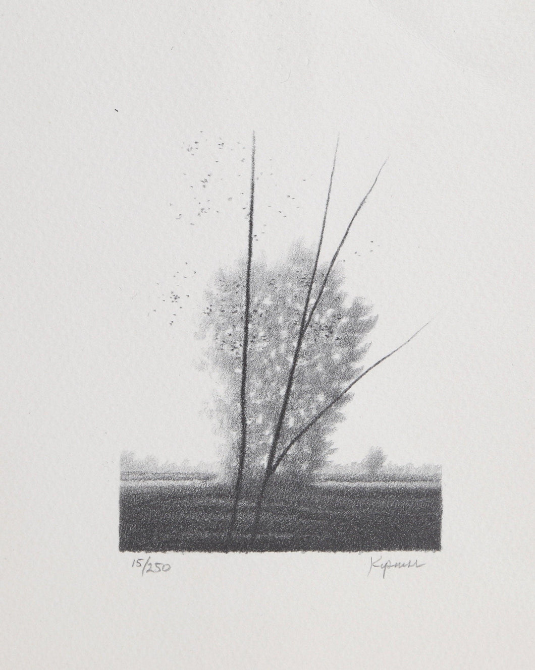 Three Trees Lithograph | Robert Kipniss,{{product.type}}