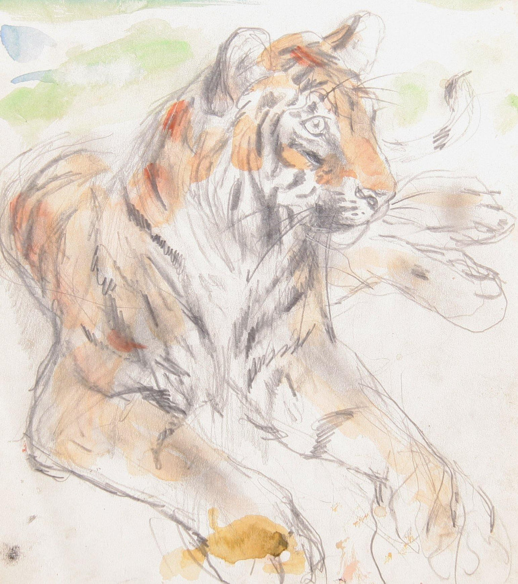 Tiger II Watercolor | Marshall Goodman,{{product.type}}