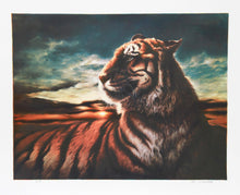 Tiger Lithograph | Nancy Glazier,{{product.type}}