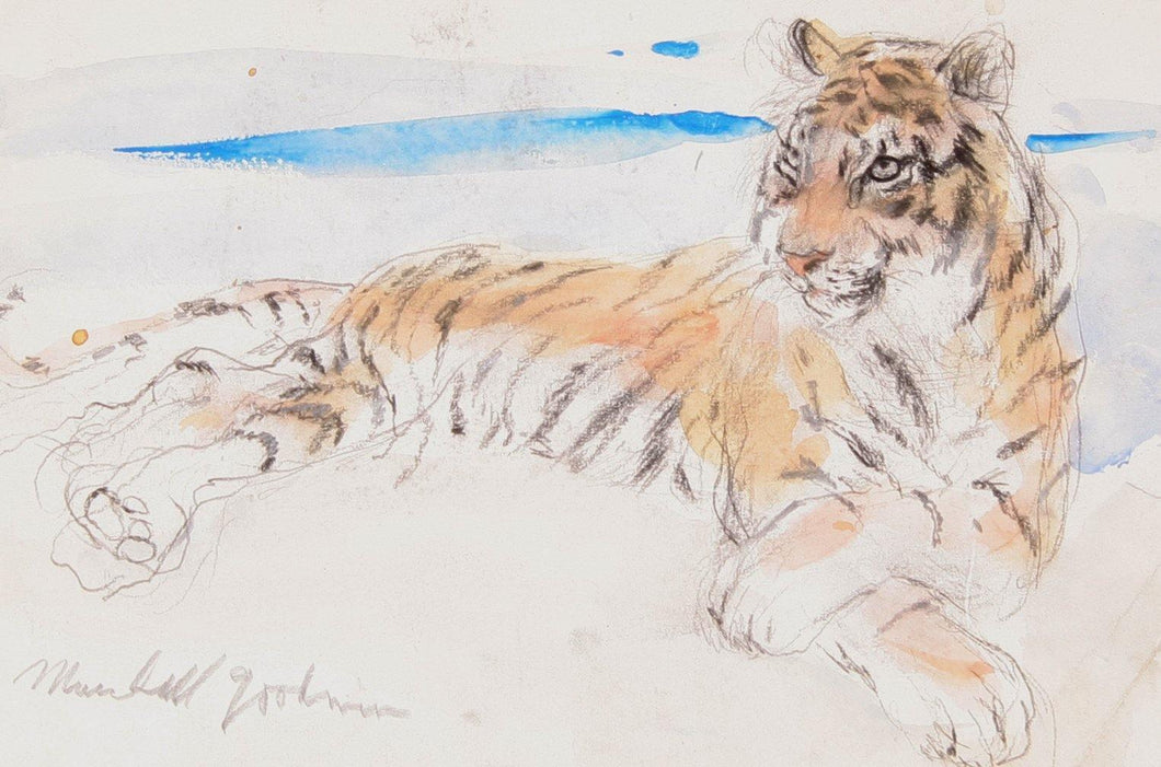 Tiger Watercolor | Marshall Goodman,{{product.type}}