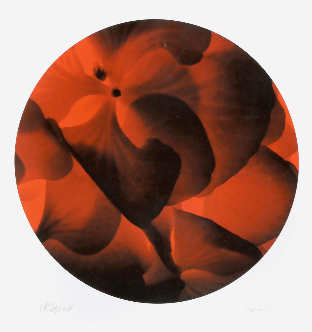 Tondo No. 6 (Red and Black Macro) Digital | Jonathan Singer,{{product.type}}