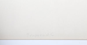 Trapezoid C Screenprint | Ronald Davis,{{product.type}}