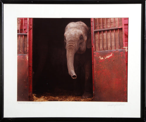 Traveling Circus, Brittany France Color | Jennifer Jill Ward,{{product.type}}