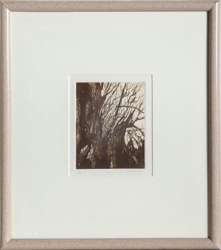 Tree Etching | Unknown Artist,{{product.type}}