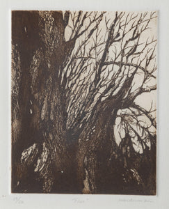 Tree Etching | Unknown Artist,{{product.type}}