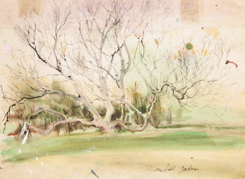 Tree in Early Spring Watercolor | Marshall Goodman,{{product.type}}