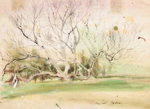 Tree in Early Spring Watercolor | Marshall Goodman,{{product.type}}