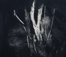 Tree in the Dark Etching | Leonard Baskin,{{product.type}}