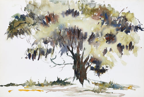 Tree (P1.31) Watercolor | Eve Nethercott,{{product.type}}