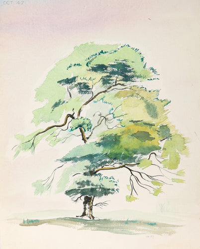 Tree (P5.17) Watercolor | Eve Nethercott,{{product.type}}