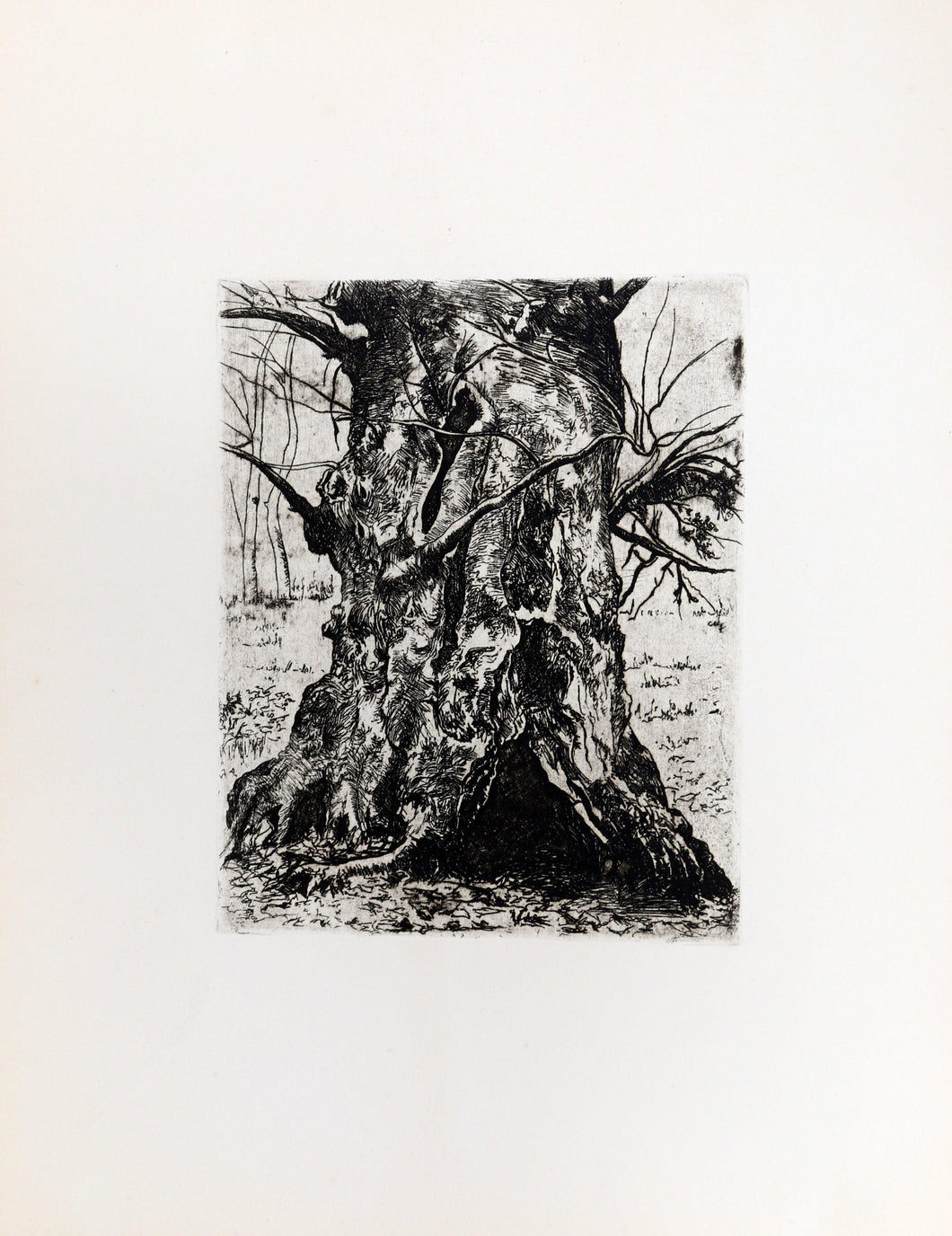 Tree Trunk Etching | Joseph Stella,{{product.type}}