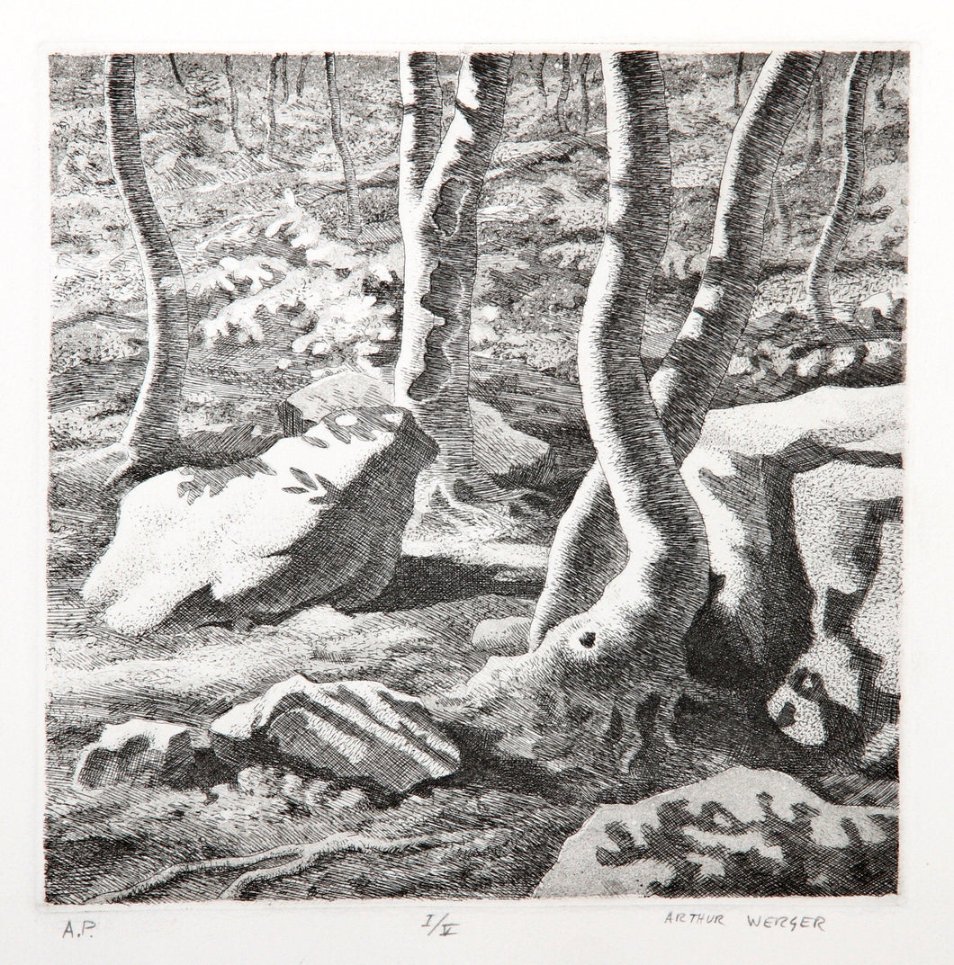 Tree Trunks Etching | Arthur Werger,{{product.type}}