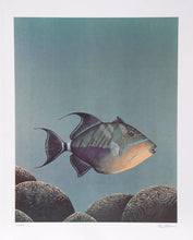Trigger Fish Lithograph | Richard Ellis,{{product.type}}