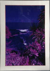 Tropical Beach Color | Alan Dennis,{{product.type}}