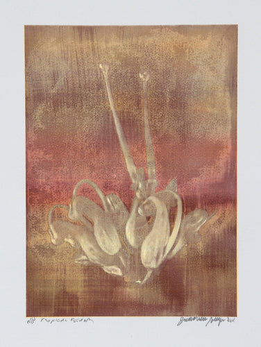 Tropical Flower 1 Color | Jonathan Singer,{{product.type}}