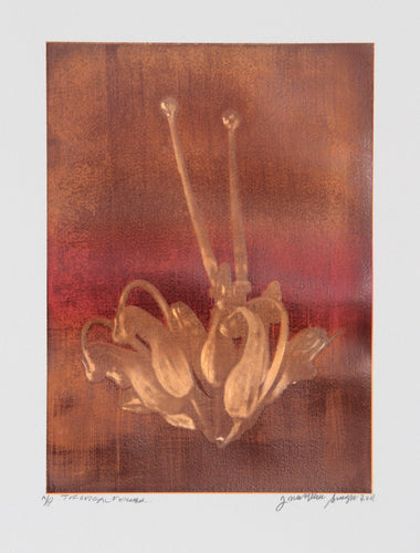 Tropical Flower 2 Color | Jonathan Singer,{{product.type}}