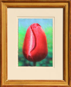 Tulip Watercolor | Hilo Chen,{{product.type}}