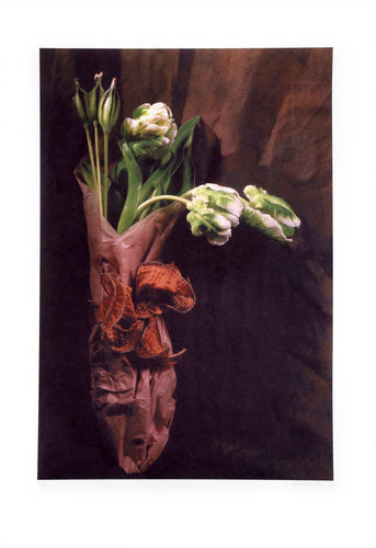 Tulipae Hortorum Digital | Jonathan Singer,{{product.type}}