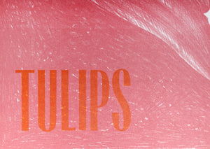 Tulips 2 Lithograph | Lowell Blair Nesbitt,{{product.type}}