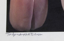 Tulips Color | Jonathan Singer,{{product.type}}