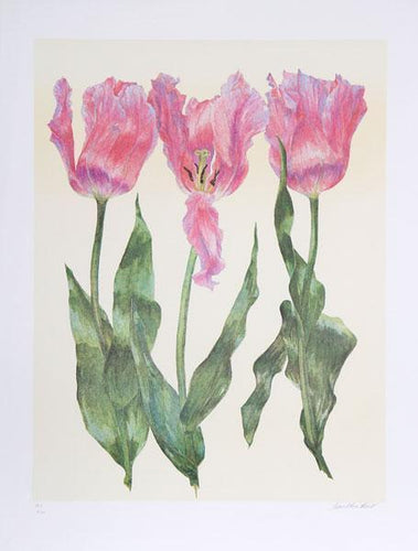 Tulips Lithograph | Carol Ann Bolt,{{product.type}}