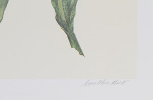 Tulips Lithograph | Carol Ann Bolt,{{product.type}}
