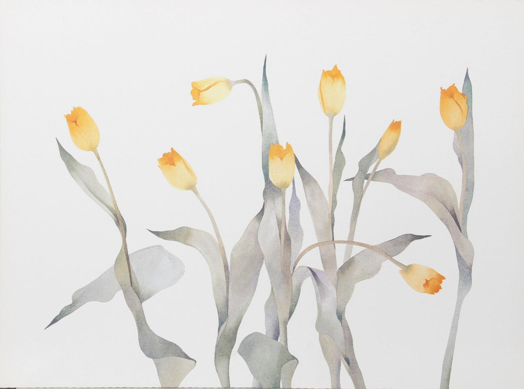 Tulips Lithograph | Susan Headley van Campen,{{product.type}}