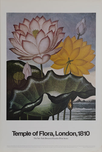 Tulips, Temple of Flora Poster | Philip Reinagle,{{product.type}}