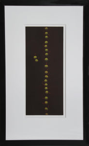 Twenty-Two Cherries (Green) Etching | Yozo Hamaguchi,{{product.type}}