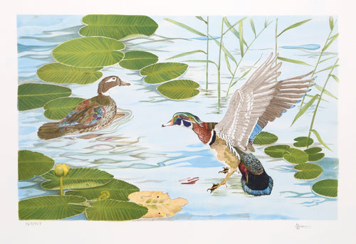 Two Ducks Lithograph | Brown,{{product.type}}