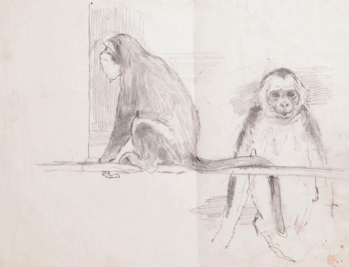 Two Monkeys at Zoo Pencil | Marshall Goodman,{{product.type}}