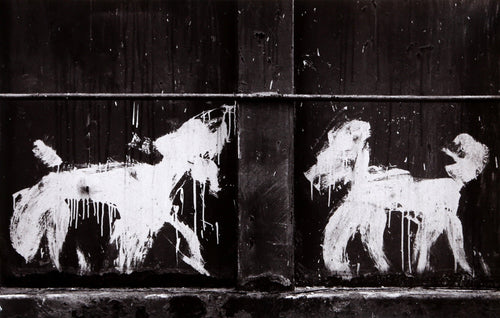 Two Peter Mayer Dogs on Dumpster, NYC Black and White | Carlos Gustavo,{{product.type}}