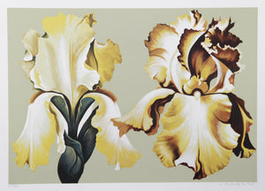 Two Yellow Irises on Sage I Screenprint | Lowell Blair Nesbitt,{{product.type}}