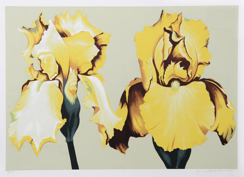 Two Yellow Irises on Sage II Screenprint | Lowell Blair Nesbitt,{{product.type}}