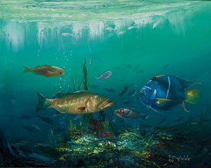 Undersea Fish Oil | Alphonso Mafaldo,{{product.type}}