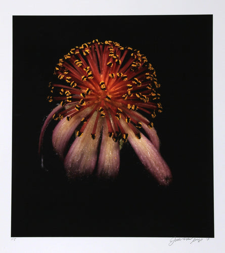 Unique Flower Color | Jonathan Singer,{{product.type}}