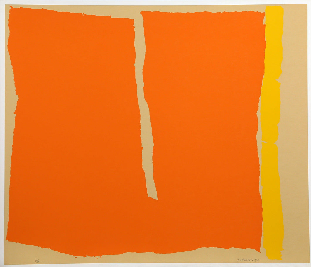 Untitled 13 Screenprint | Raymond Parker,{{product.type}}