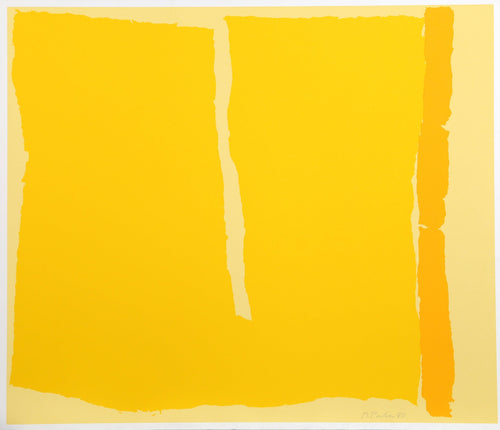 Untitled 14 Screenprint | Raymond Parker,{{product.type}}