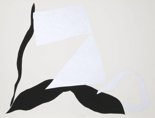 Untitled 22 Screenprint | Raymond Parker,{{product.type}}