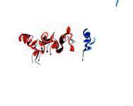 Untitled 5 Ink | Sacha Kolin,{{product.type}}