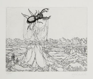 Untitled - (Beetle) Etching | Hans-Georg Rauch,{{product.type}}