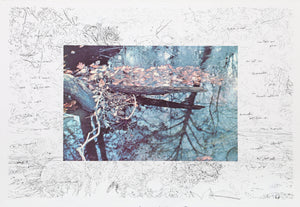 Untitled - Frost Lithograph | Alan Sonfist,{{product.type}}