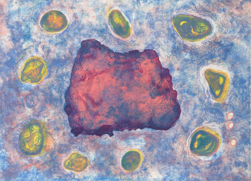 Untitled II Lithograph | Betsy Damon,{{product.type}}