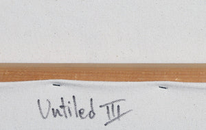 Untitled II Oil | Gustavo Schmidt,{{product.type}}