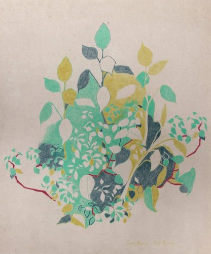 Untitled - Plant Pencil | Unknown Artist,{{product.type}}