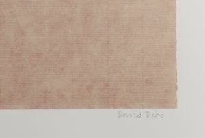 Untitled Screenprint | David Diao,{{product.type}}