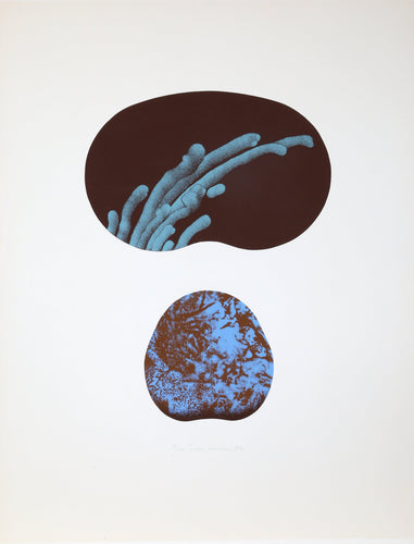 Untitled - Sea Forms II Screenprint | Sven Lukin,{{product.type}}