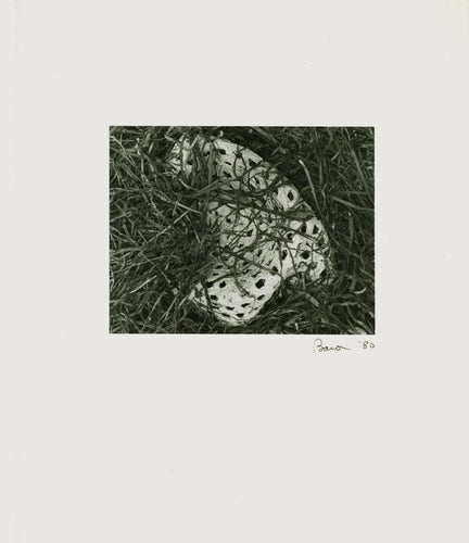 Untitled - Straw Hat in the Grass Black and White | Steve Baron,{{product.type}}